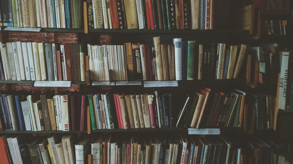 Kirjahylly jossa paljon kirjoja
