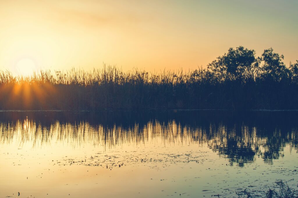 Evergladesin kansallispuisto Yhdysvaltain Floridassa