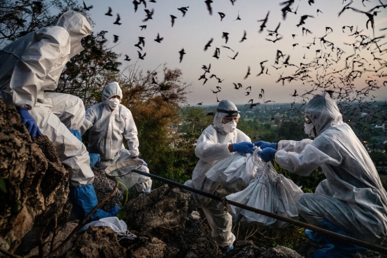 Stillkuva dokumenttileokuvasta Blame. Docpoint 2026